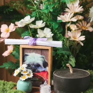 小天使相架紀念盅