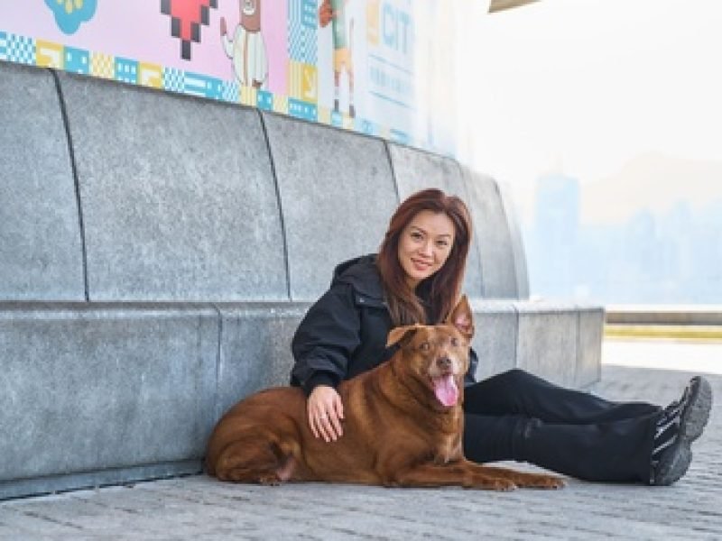 dog_image2