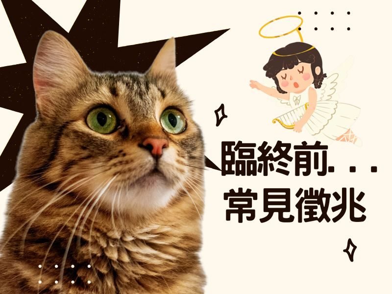 post_020325