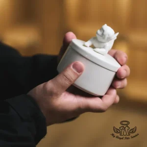 小天使骨灰盅